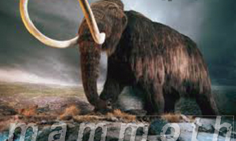 mammoth